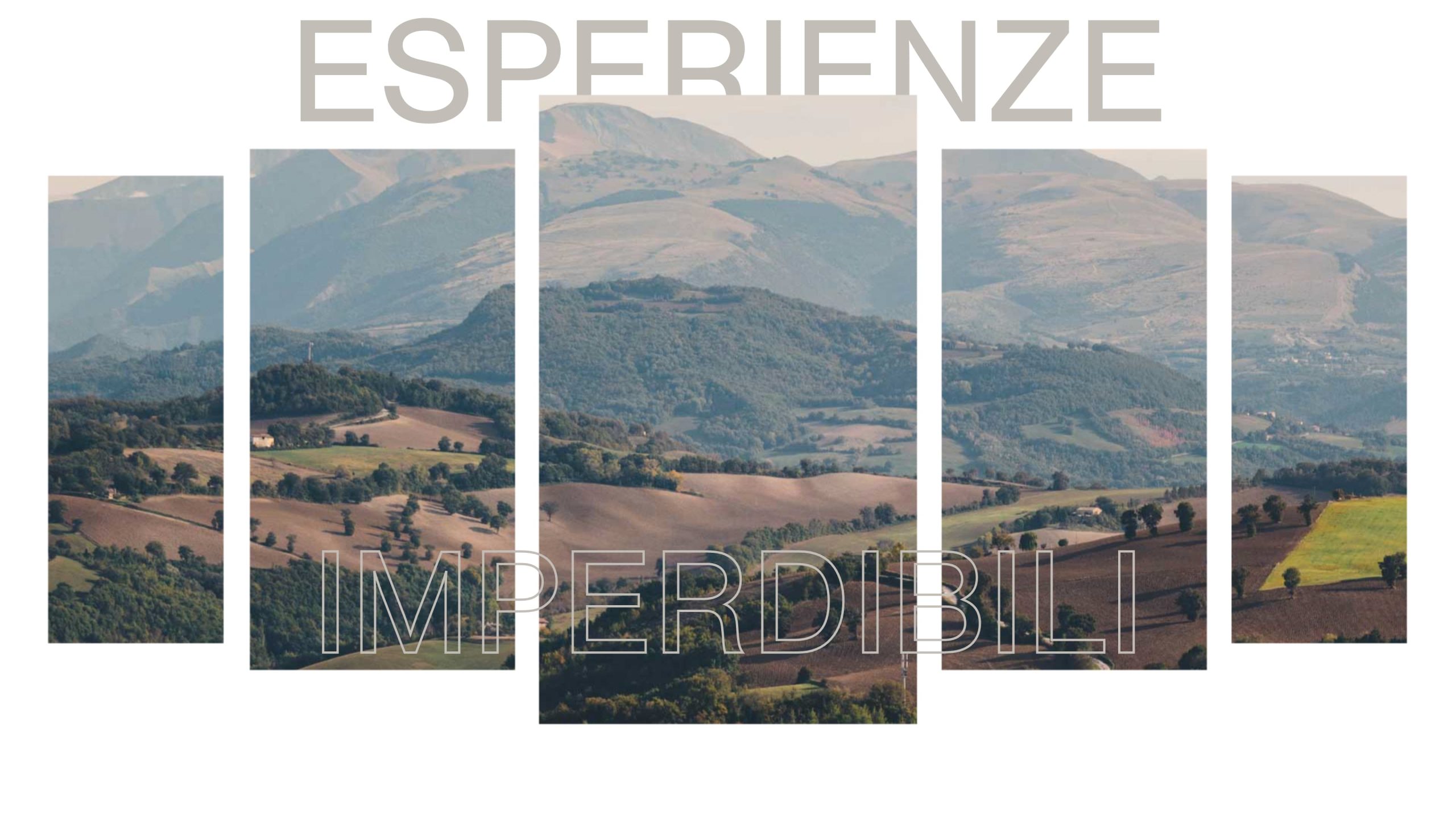 esperienze imperdibili nelle Marche con Scorri Experience